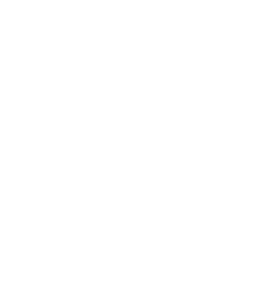 blue sky family farms logo