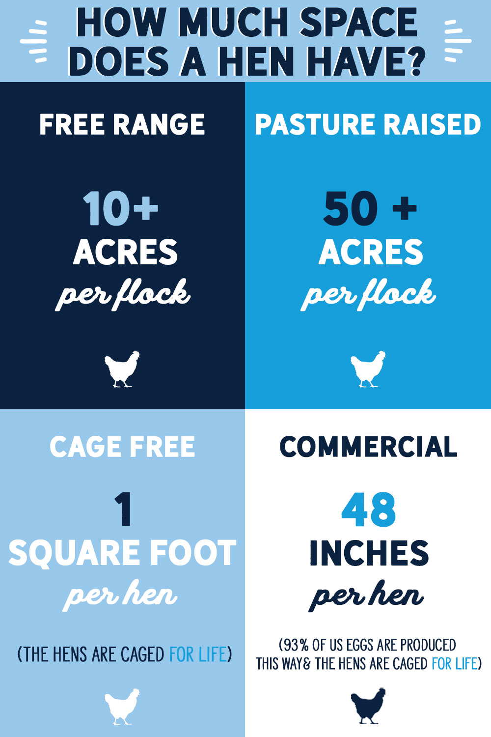 So What Do Those Egg Labels Mean? - Blue Sky Family Farms